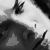 :iconbanjo-design: