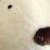 :iconbao--bei: