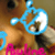 :iconbaolimifan: