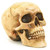 :iconbaphometti: