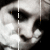 :iconbaptisma:
