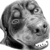 :iconbaraminjee: