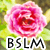 :iconbarbaraleal: