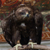 :iconbarbaryb: