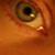 :iconbarbee:
