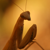 :iconbarbooze: