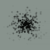 :iconbarcode-roses: