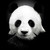 :iconbardhiel: