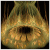 :iconbarefootfractals: