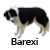 :iconbarexi: