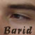 :iconbarid: