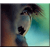 :iconBaringa-of-the-Wind: