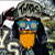 :iconbariorokk: