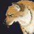 :iconbarleywilkerson: