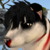 :iconbarnabascollins88: