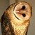 :iconbarnowl7393: