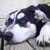 :iconbaronsamedi591:
