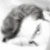 :iconbaroonesiyah: