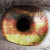 :iconbarthul: