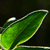 :iconbas-art-assassin: