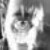 :iconbascu: