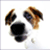 :iconbaseballguy087: