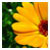:iconbasejumper: