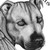:iconbasementcatrox: