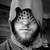 :iconbashevans: