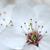 :iconbasia-feng: