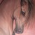 :iconbasicsilver: