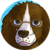 Basilisk-432 :iconbasilisk-432: