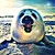 :iconbasketcase10: