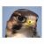 :iconbasketcase8: