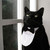 :iconBassNazi: