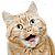 :iconbasspick: