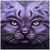 :iconbastet1994: