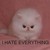:iconbastetcleopatra: