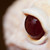 basticelis :iconbasticelis: