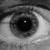 :iconbatdan2010: