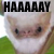 :iconbatfloofplz: