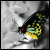 :iconbatheincrimson: