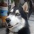 :iconbatl3rby: