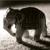 :iconbatman-kicks-butt: