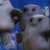 :iconbatmanlover1144: