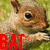 :iconbattery-acid2293: