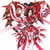 :iconbattlesister: