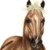 :iconbattlespade-bss: