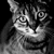:iconbattlestargalacticat:
