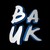 :iconbaukart: